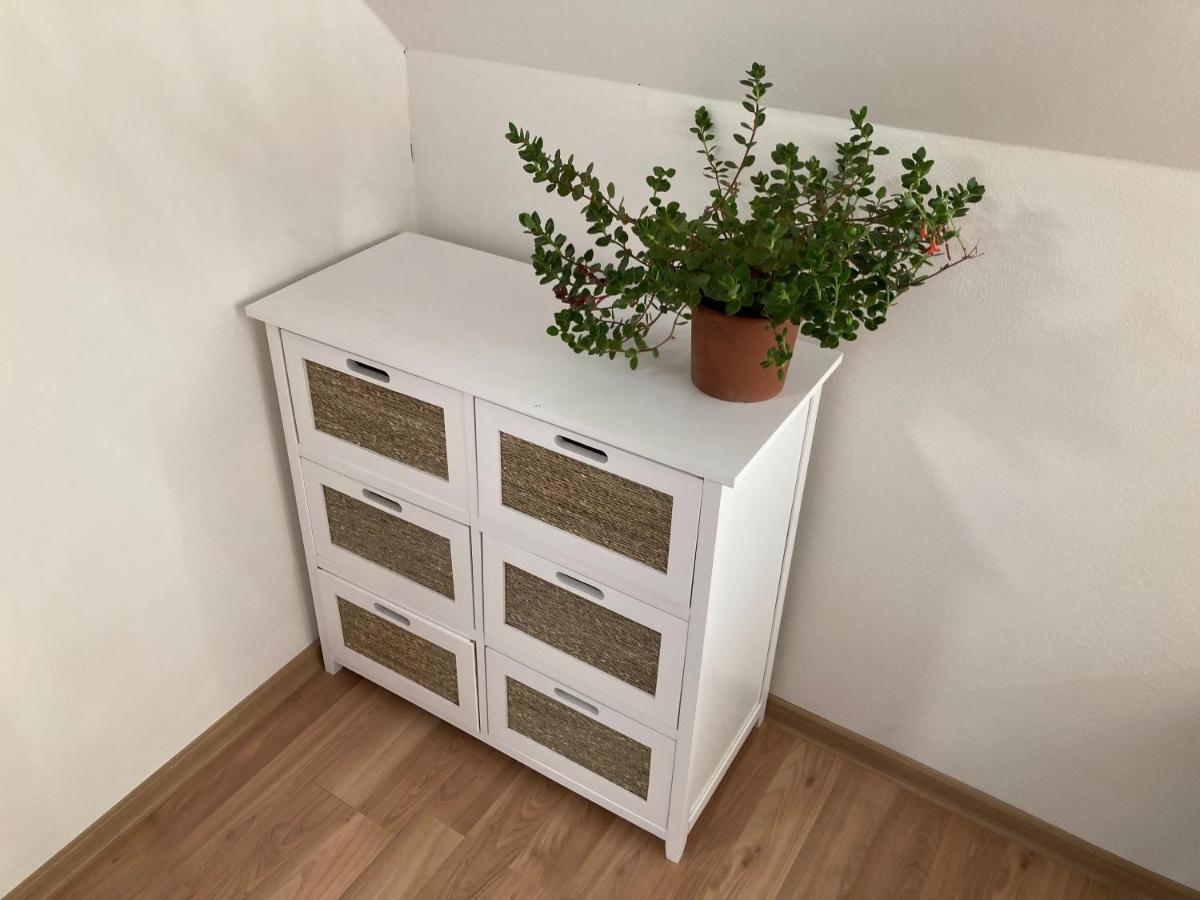 Apartmany U Reky Nezarky Lásenice Екстериор снимка